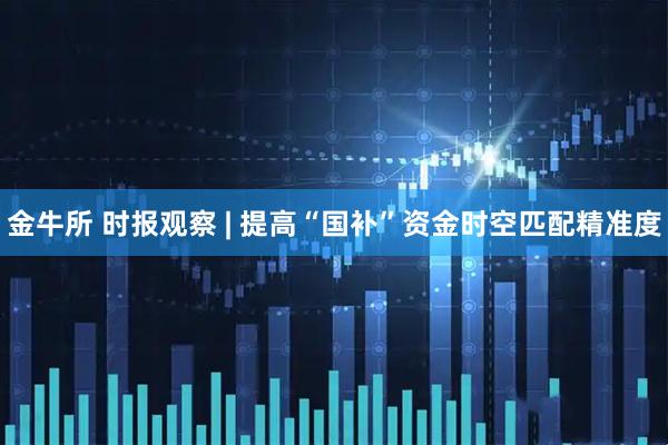 金牛所 时报观察 | 提高“国补”资金时空匹配精准度