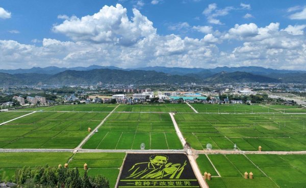 申宝证券 湖湘农耕文明有什么新图景？这两位院士有话说