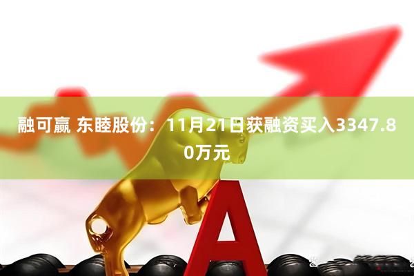 融可赢 东睦股份：11月21日获融资买入3347.80万元