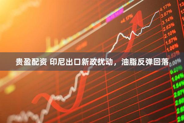 贵盈配资 印尼出口新政扰动，油脂反弹回落
